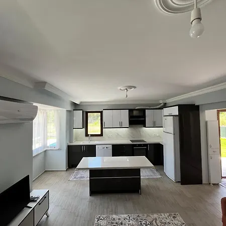 Villa Ortaca 2+1